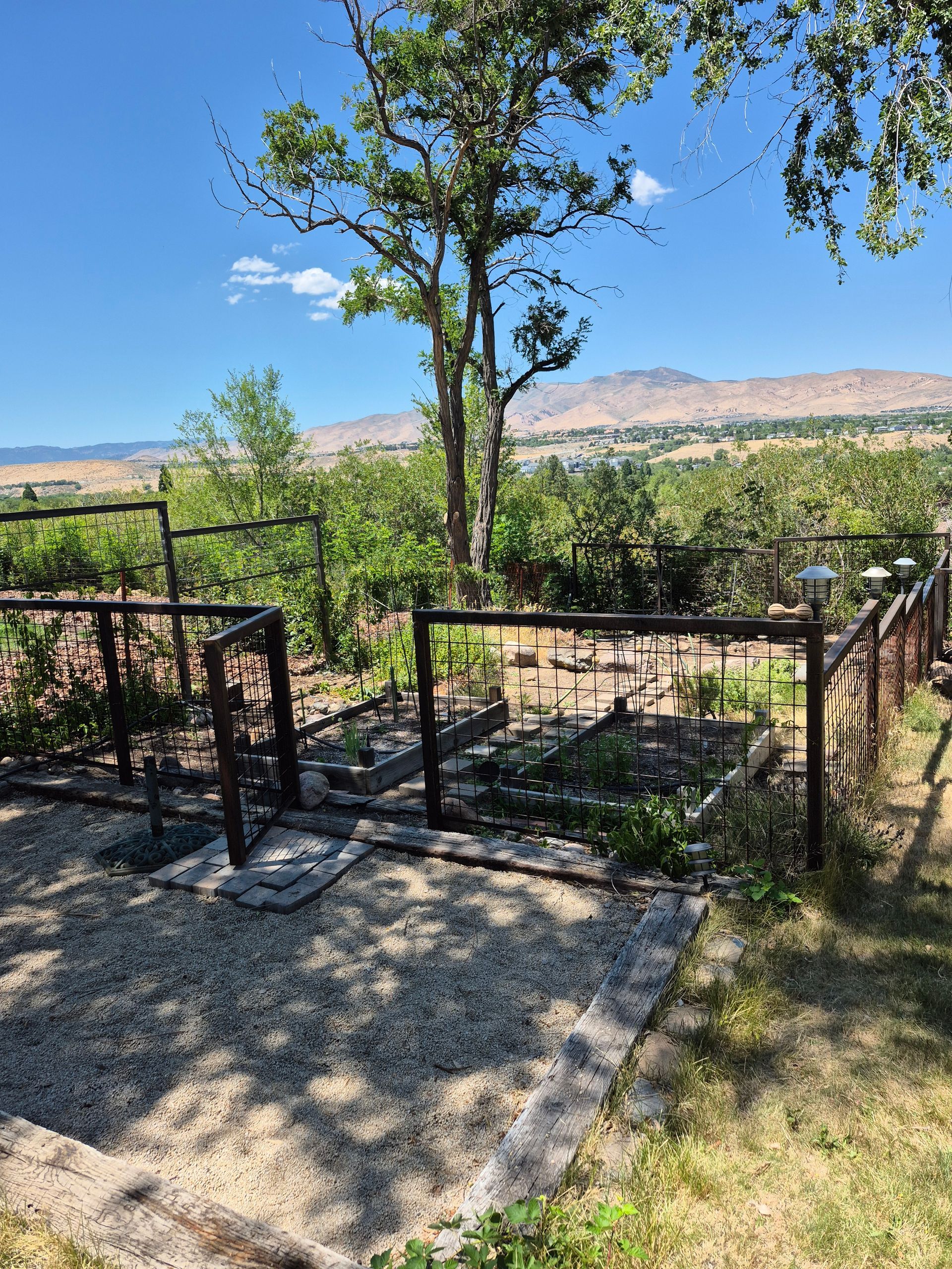 Metal-fenced garden with small plants, gravel ground, and scenic view of mountains and town in the background on a sunny day.