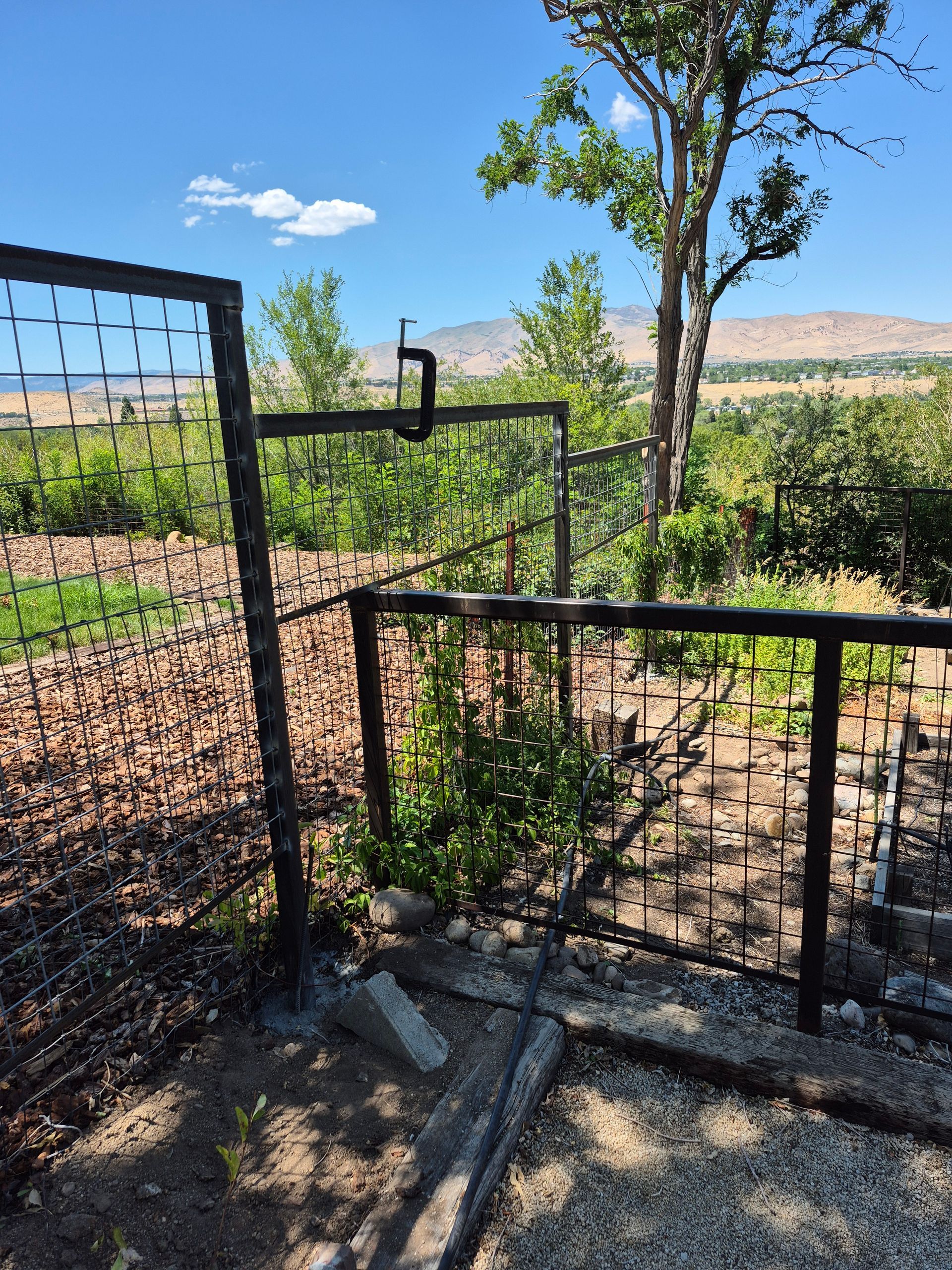 Open metal gate leading to a garden area with a view of a hill and blue sky.