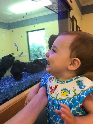 Smiling baby in a blue floral outfit watching fish in an aquarium tank
