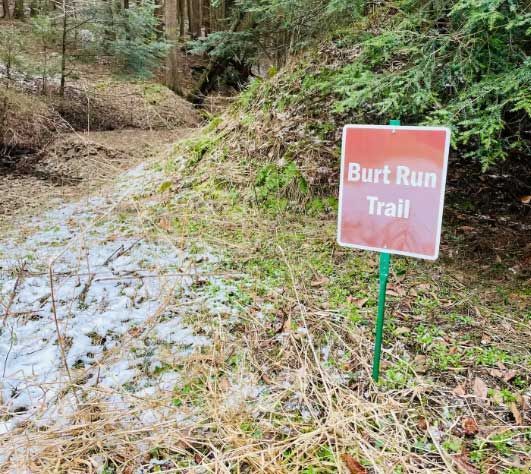 Burt Trail Run