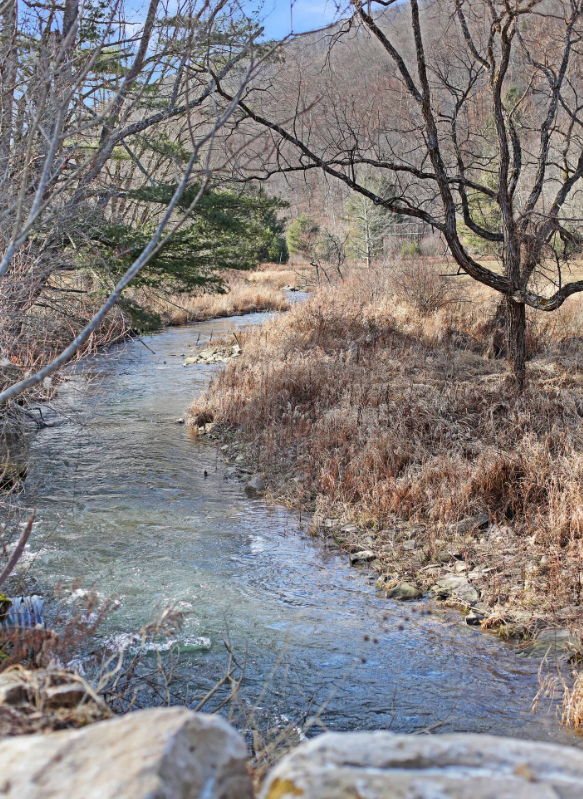 Potter County PA Fishing