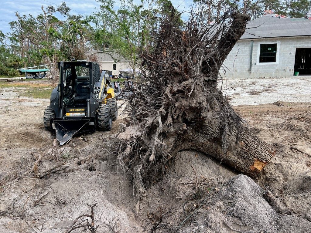 Stump Digger — Sarasota, FL — RIM Express Stump Digger — Sarasota, FL — RIM Express
