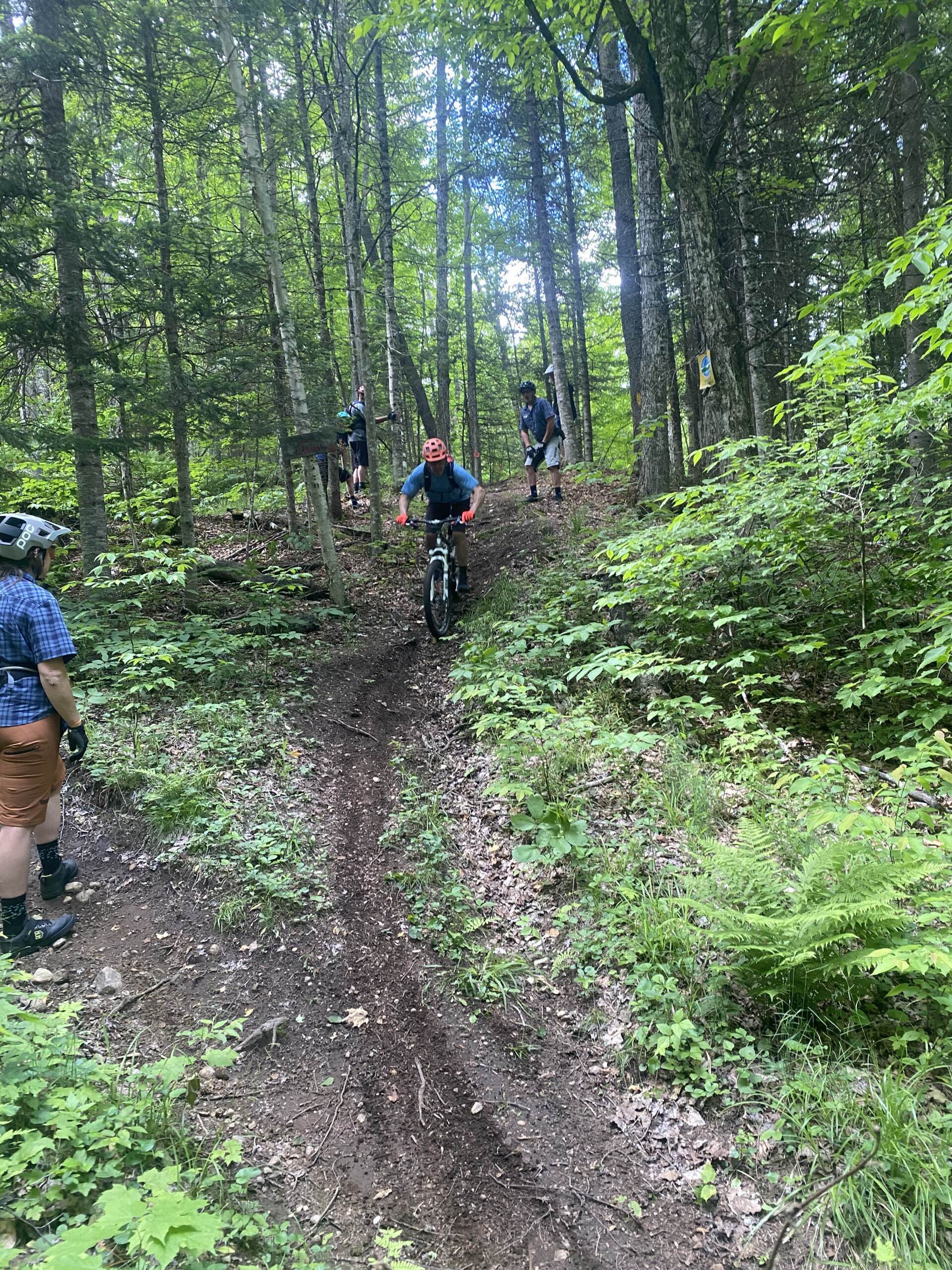 woman riding on forested mtb trail