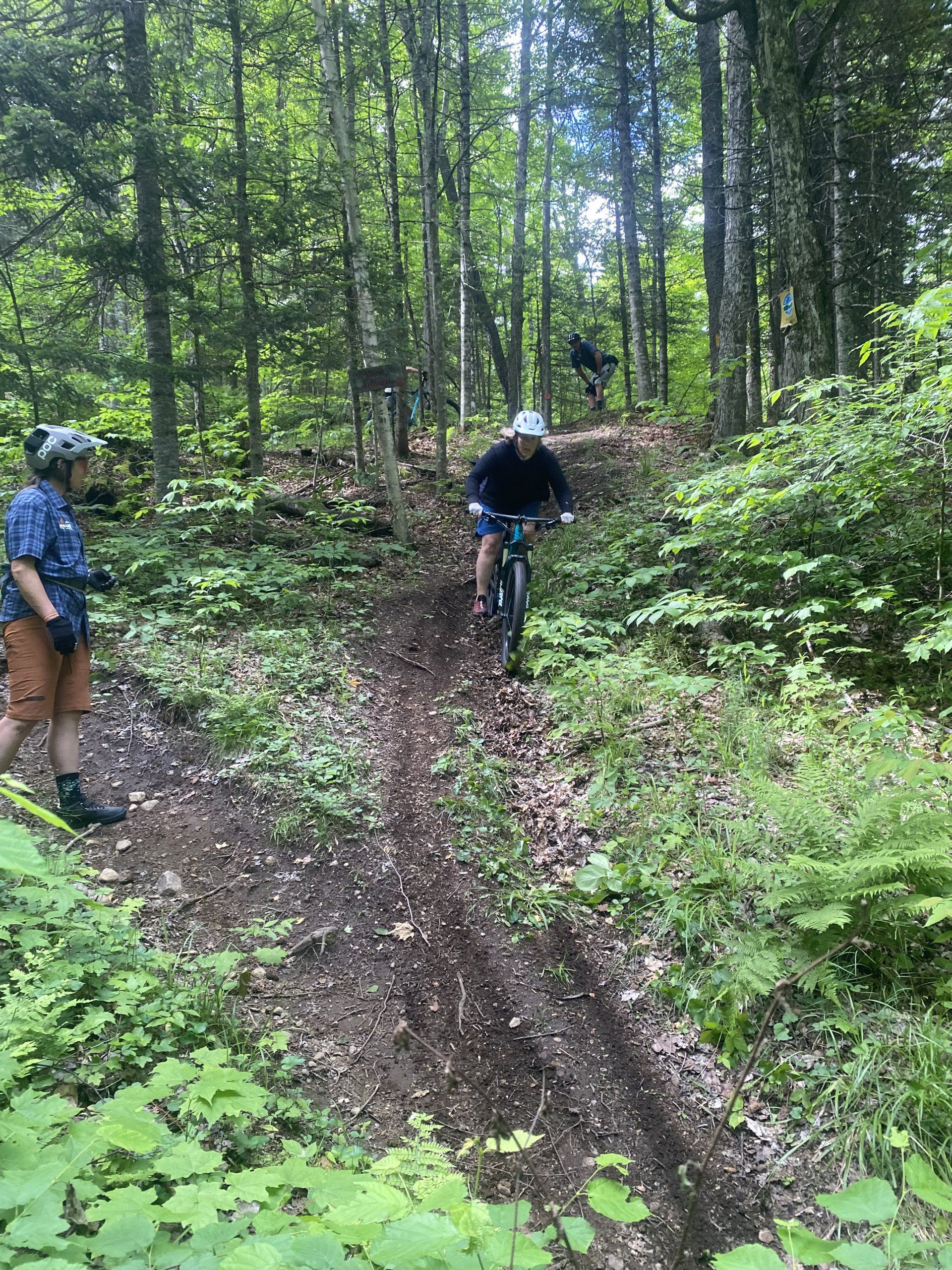woman riding on forested mtb trail