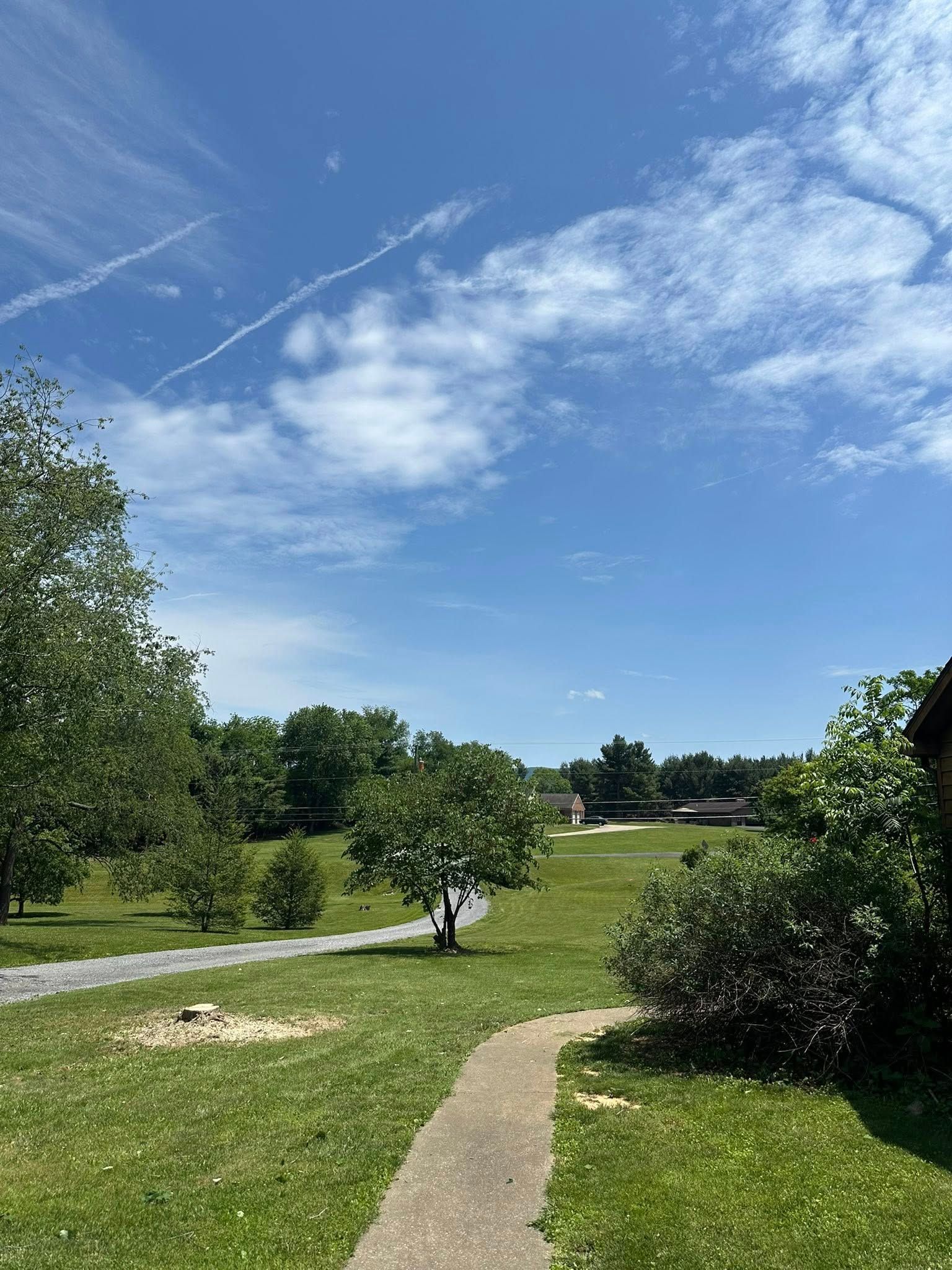 Lush green landscape under a bright blue sky with scattered clouds; trees and road.