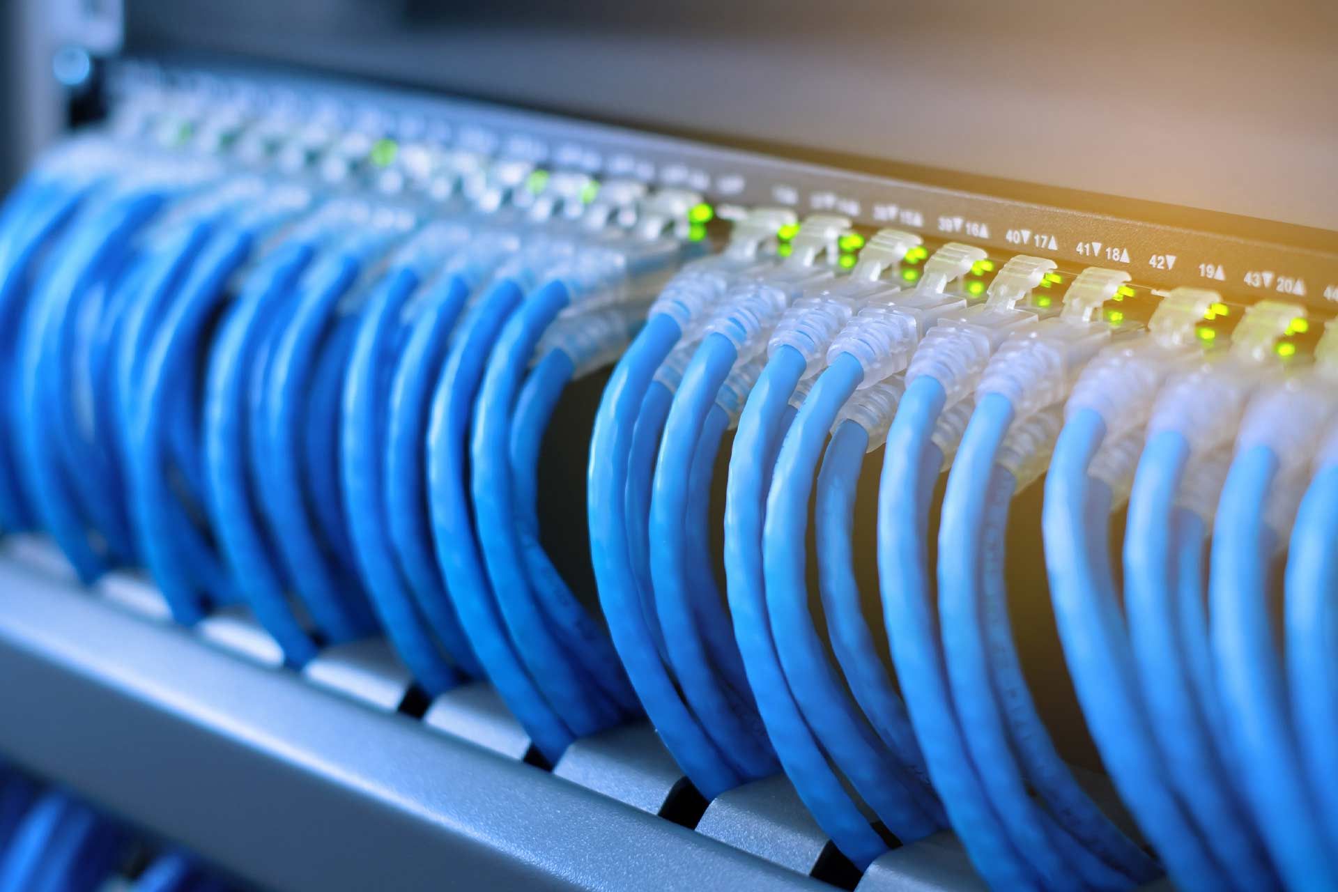 Blue Ethernet cables plugged into a network switch with green status lights