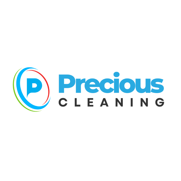 Precious Cleaning logo with blue “P” icon and multicolor circle on white background