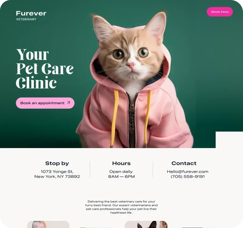 Cat in pink hoodie promoting a pet care clinic website with appointment button and contact info