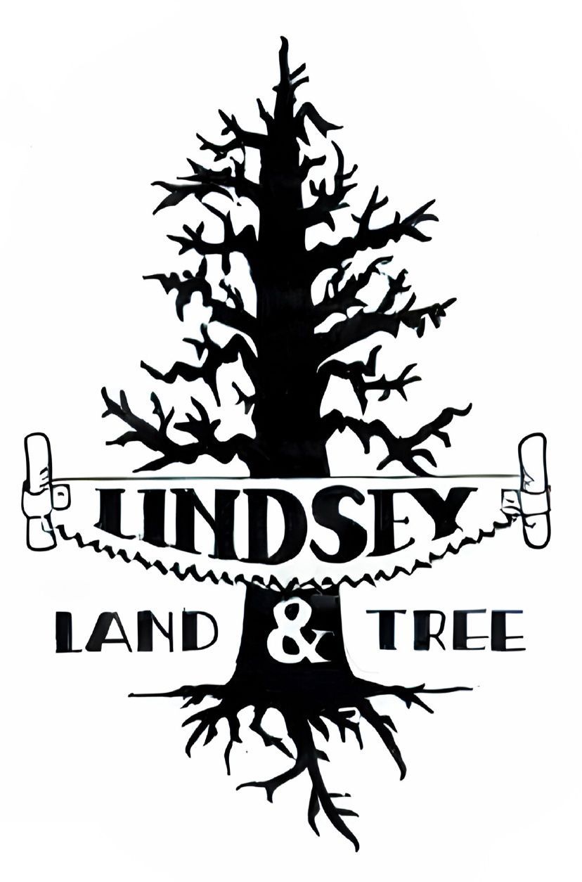 Lindsey Land & Tree logo with black tree silhouette and bold text on white background