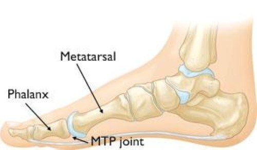 Telegraph Toe Dr Ryan du Sart | Foot & Ankle Orthopaedic & Sports Surgeon | Bunbury WA