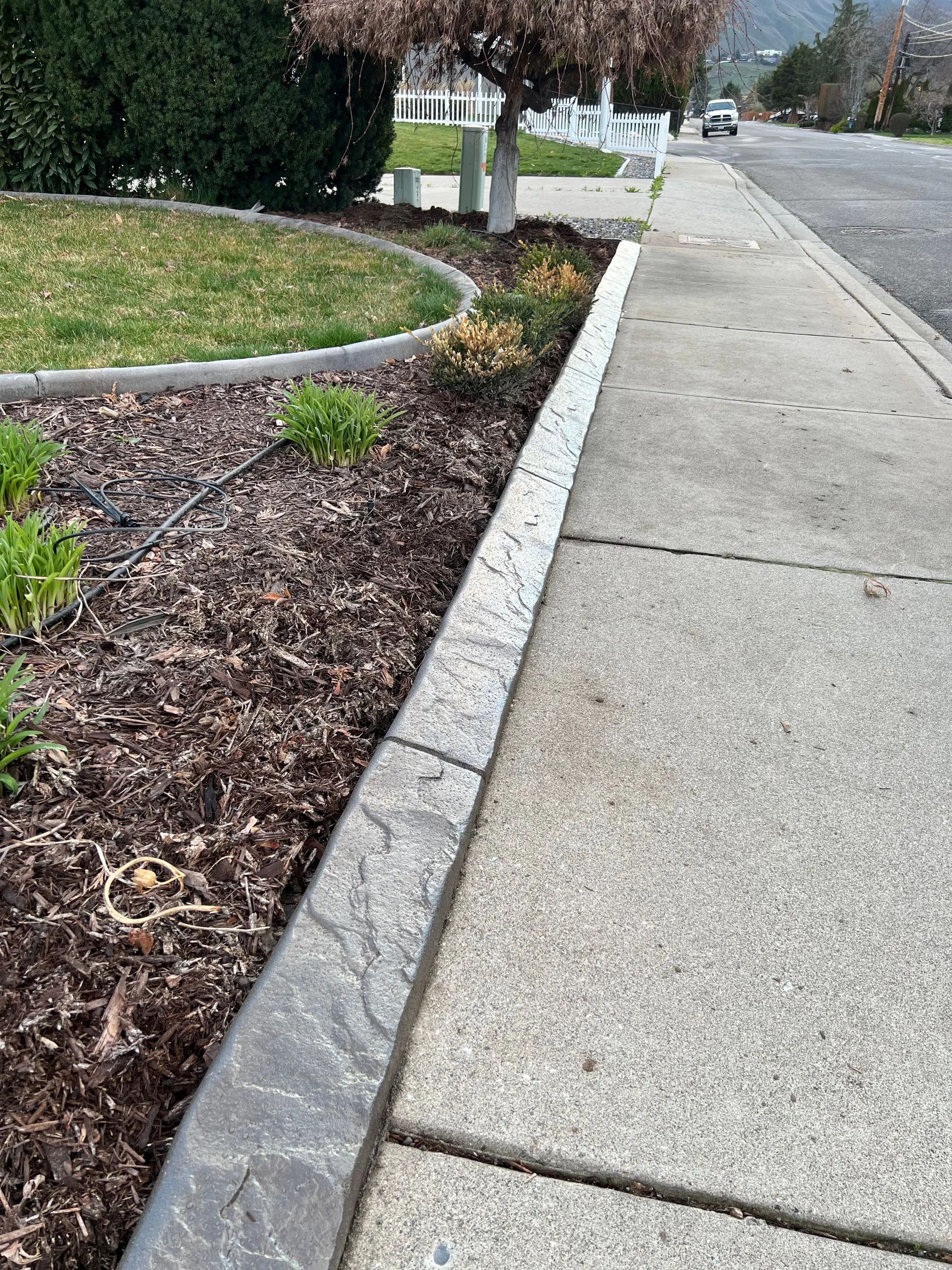 Sidewalk with decorative concrete border and mulch.