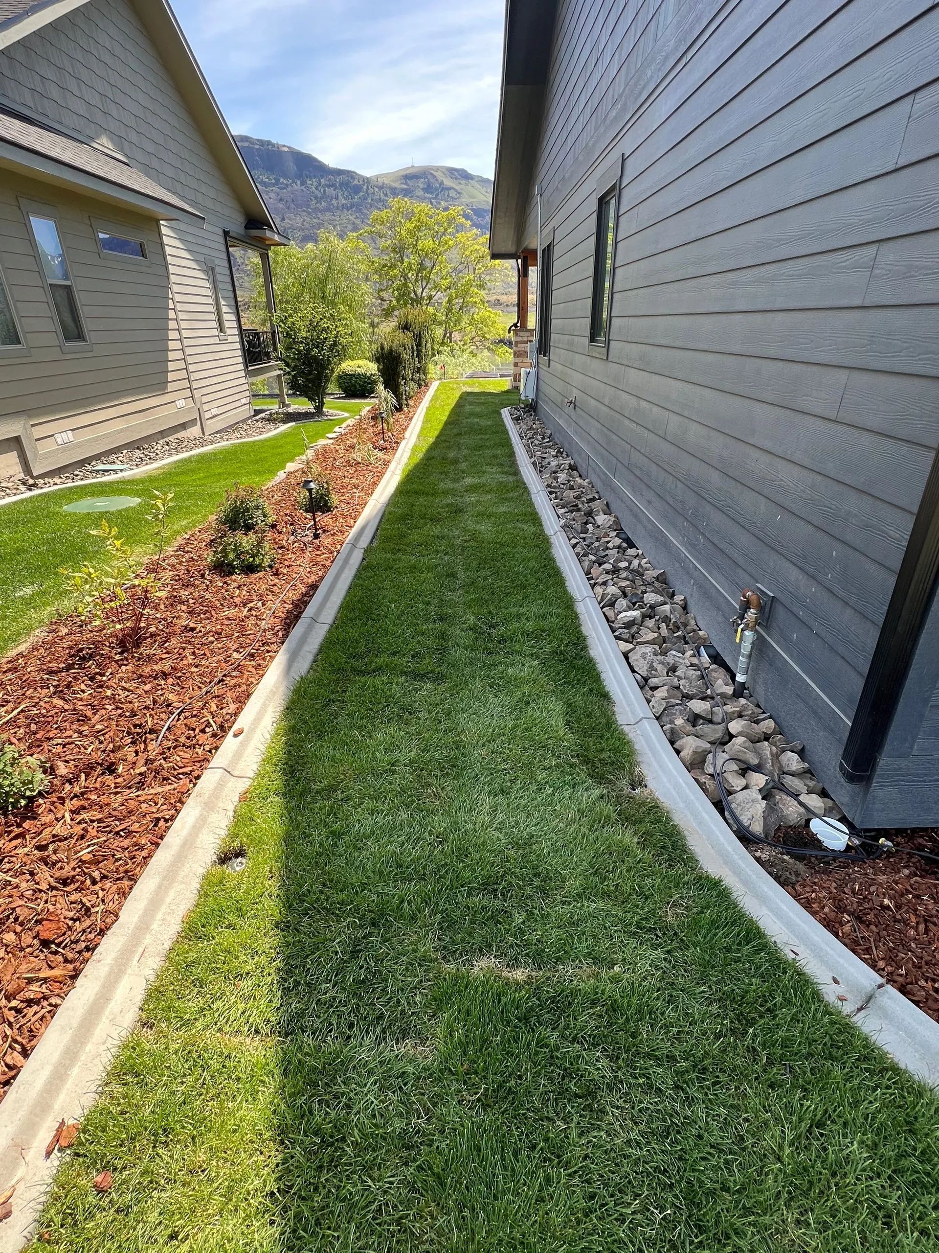 Narrow grassy walkway between two houses, bordered by mulch and rocks.