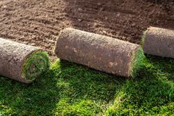 Three rolls of sod laid out on a newly prepared dirt bed and green grass.