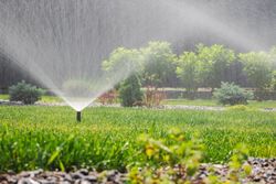 Sprinkler watering green grass in front of trees and bushes on a sunny day.