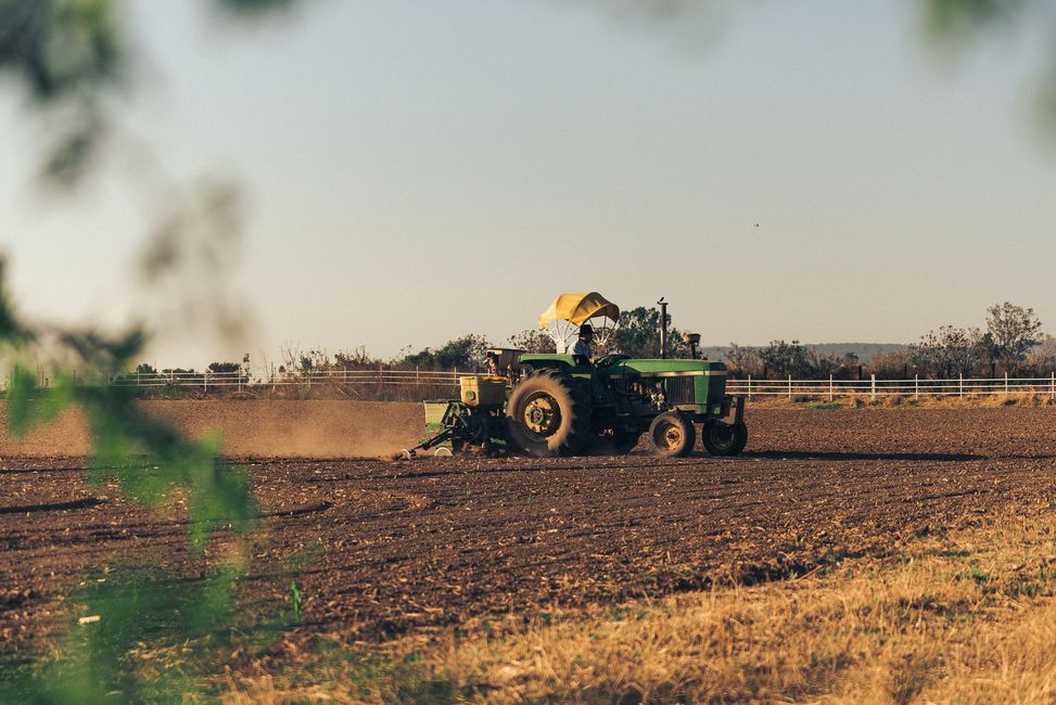 Un tractor verde arando un campo seco al atardecer, con árboles al fondo