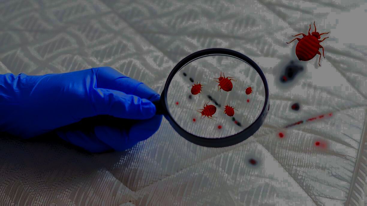 A person is holding a magnifying glass over a mattress.