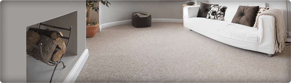 carpets and vinyl
