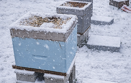 Insulating and feeding hives in the winter