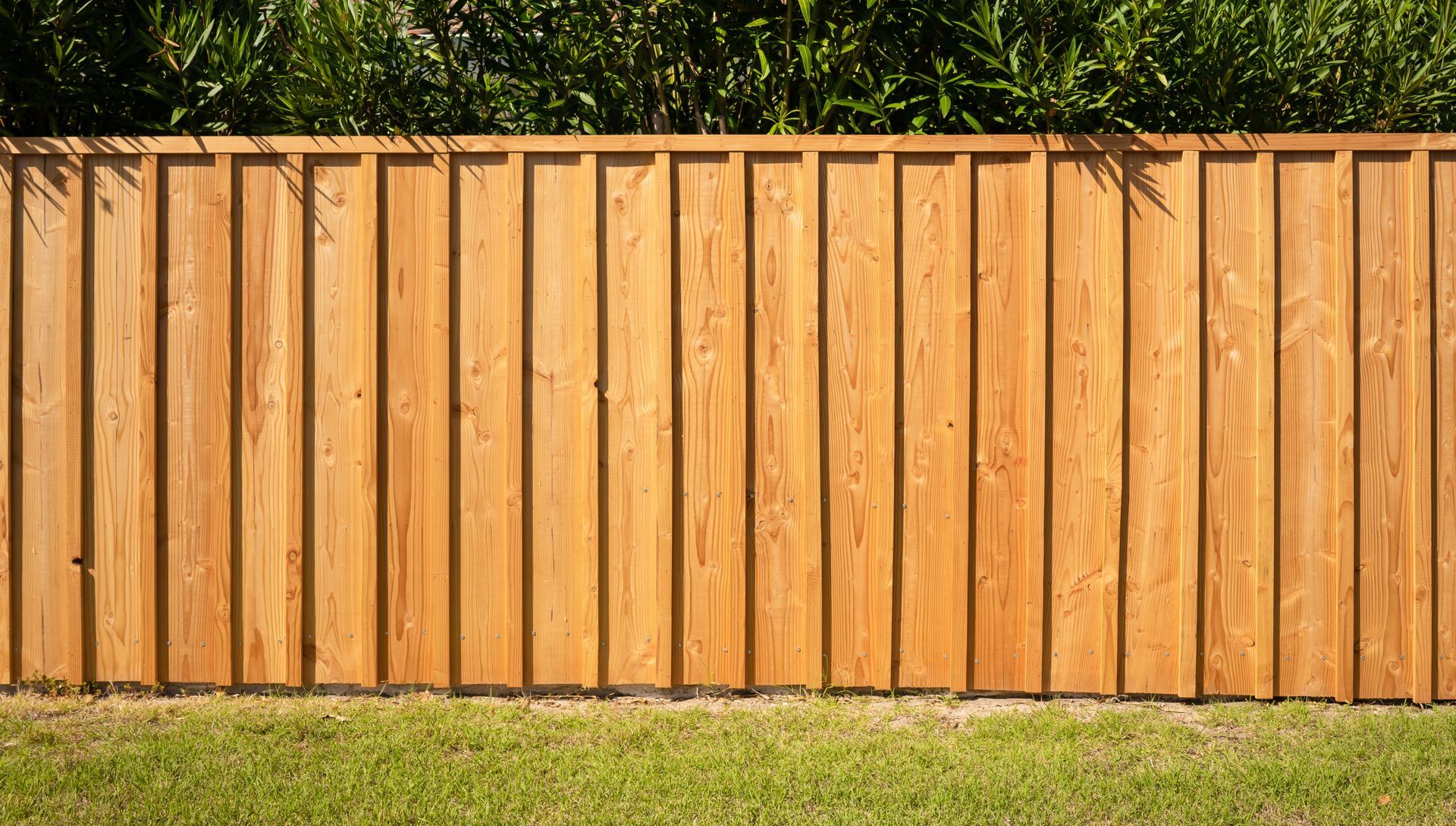 Wooden privacy fence with vertical slats above a strip of green grass