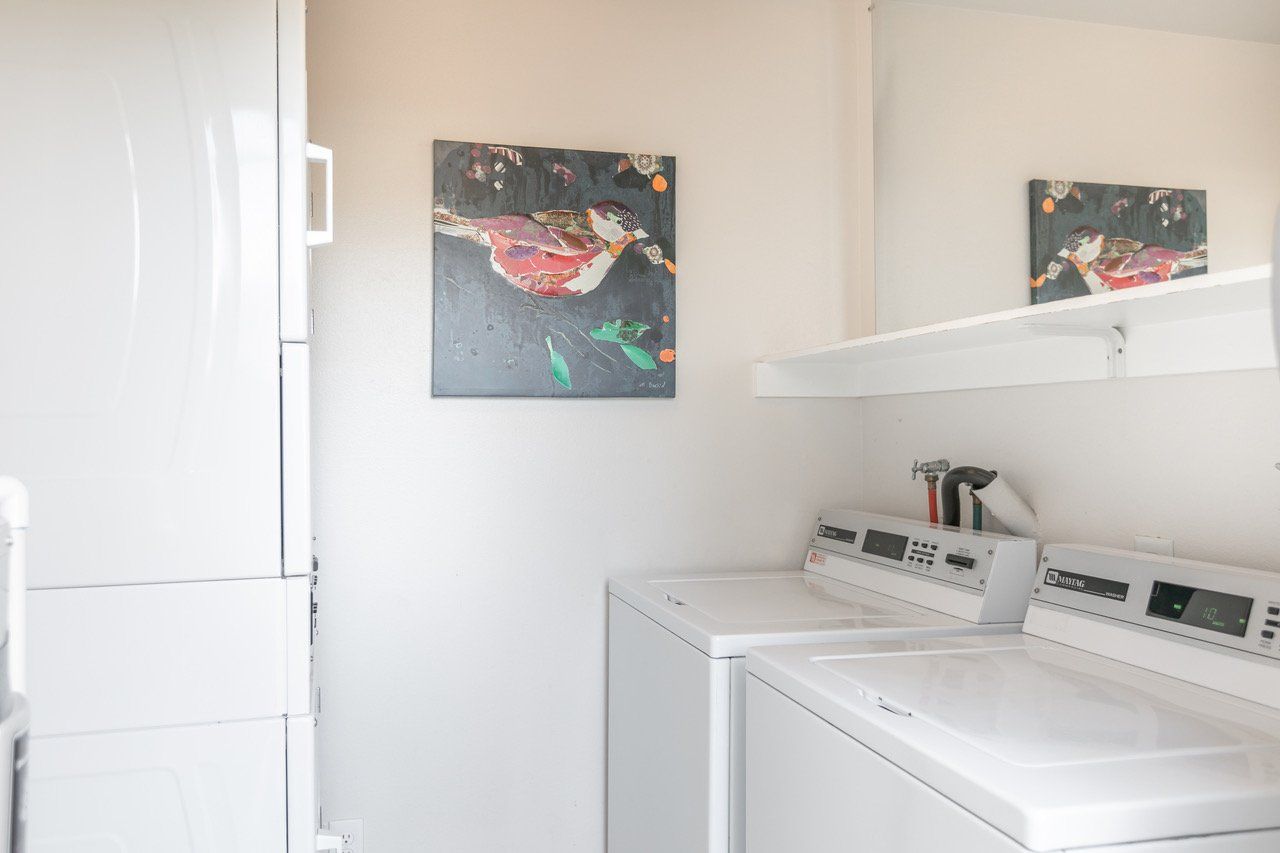 woodland laundry