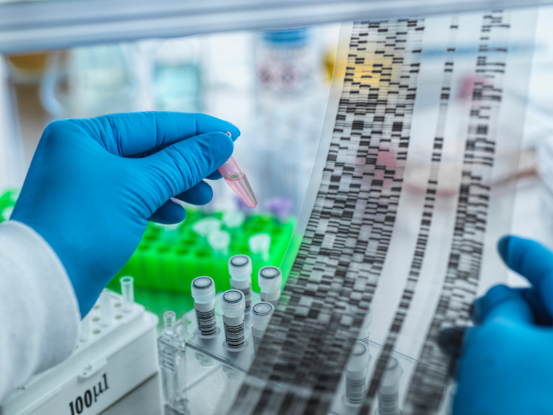A person wearing blue gloves is holding a test tube in a laboratory.