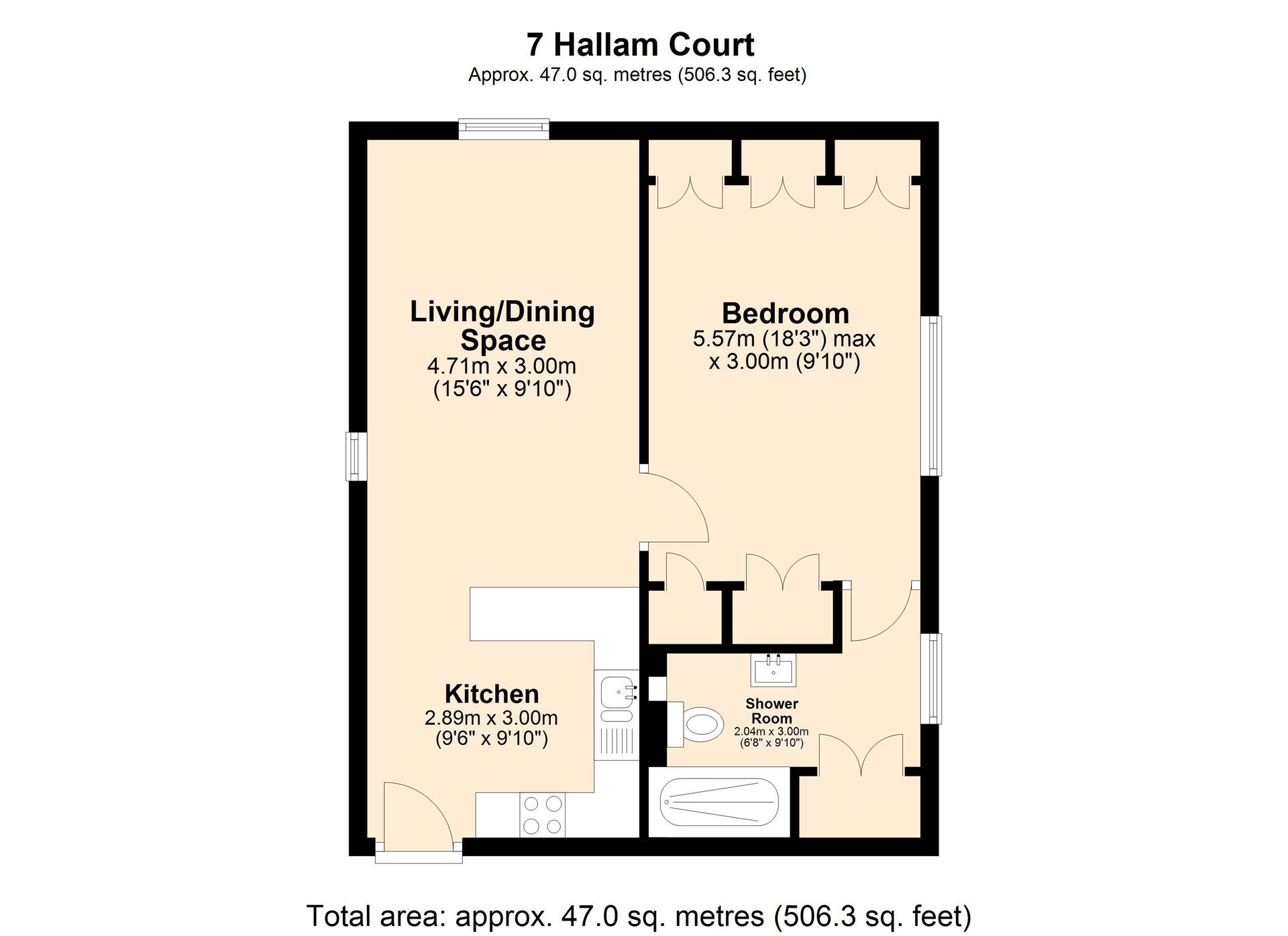 Floor plan of a one-bedroom apartment with living space, kitchen, bathroom, and entrance hallway.