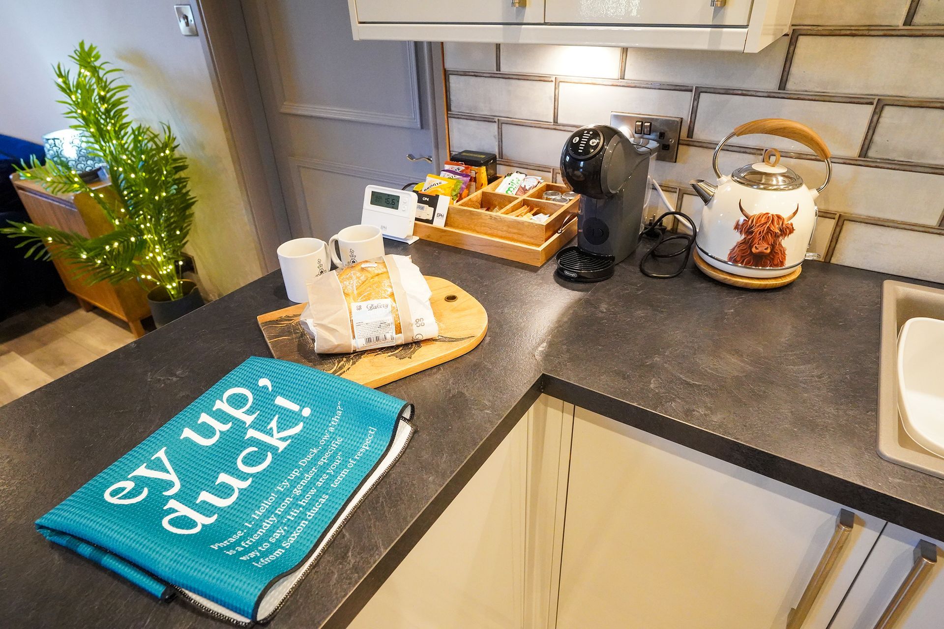 Kitchen corner with teal “Cy Lid duck” towel, coffee maker, and snacks on the counter