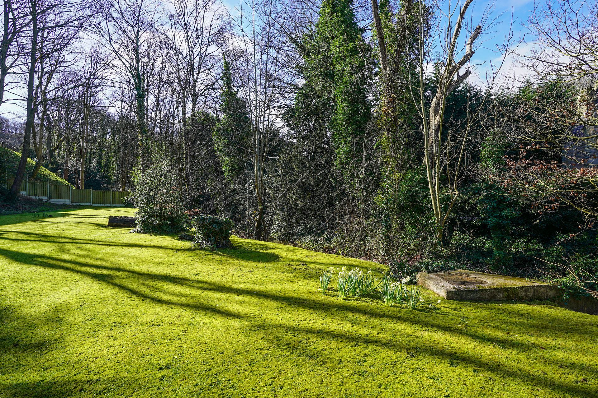 Sunlit green park with trees, hedges, and a grassy lawn casting long shadows