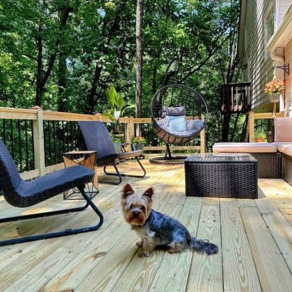 Small dog sitting on a wooden deck with black chairs and a hanging chair in a wooded backyard.