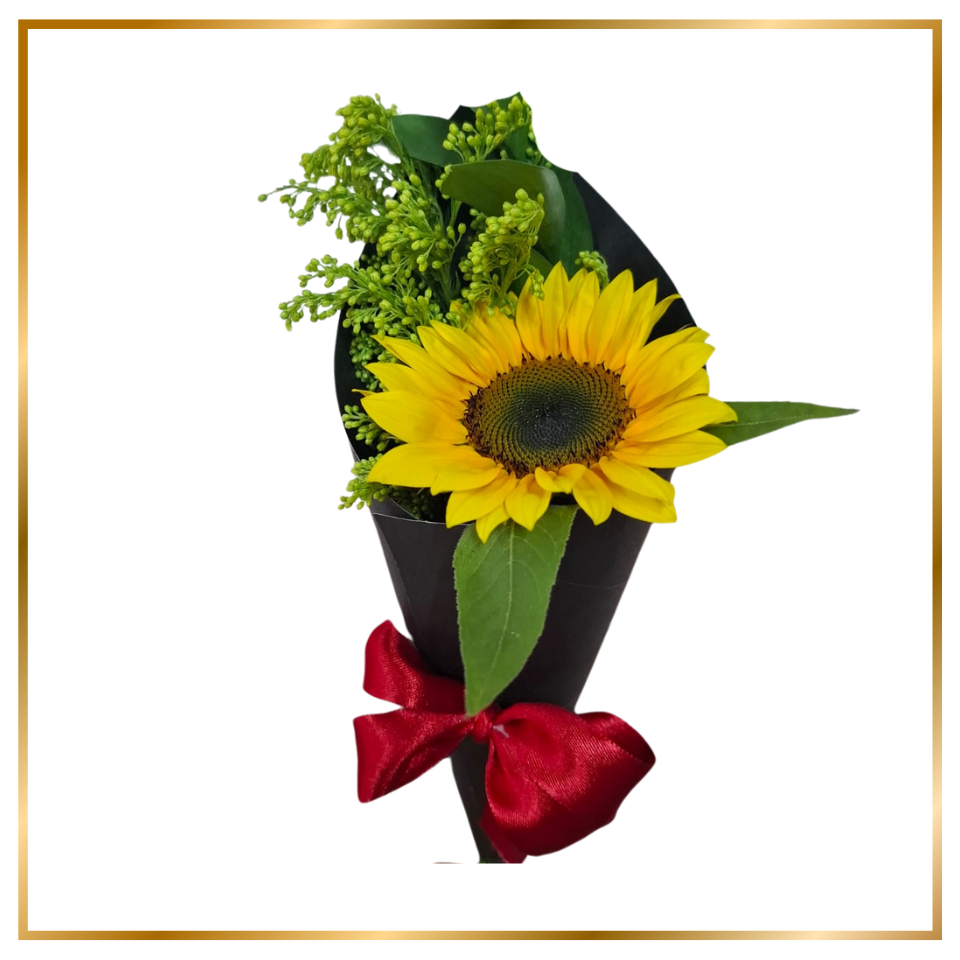 caja regalo