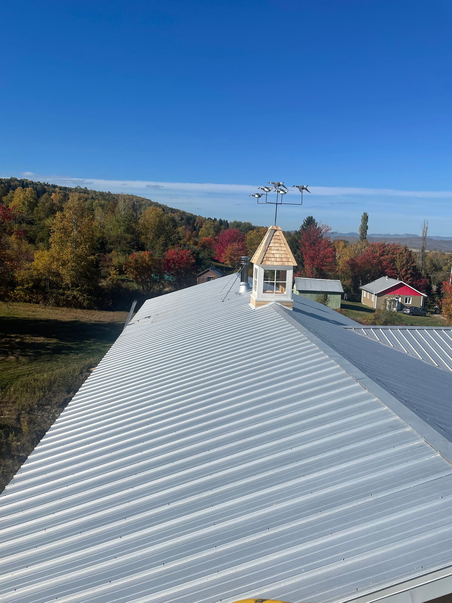 Un toit en métal blanc surmonté d'une petite coupole en bois ornée d'une girouette en forme d'oie en vol, se détachant sur un paysage d'automne.