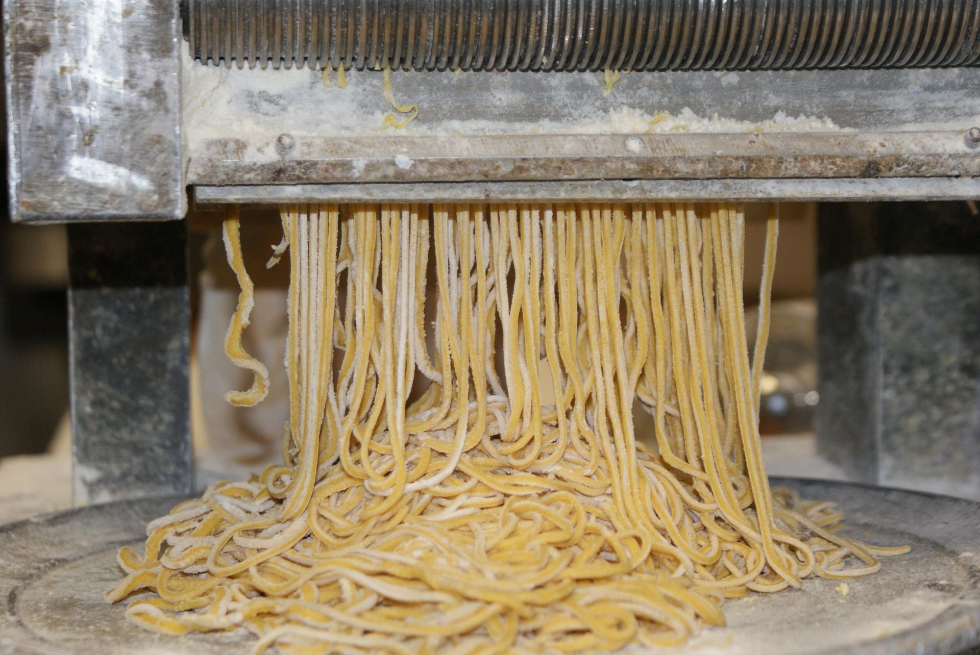 Fresh pasta strands emerging from a machine and piling onto the surface below. Fresh pasta strands emerging from a machine and piling onto the surface below.