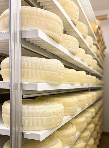 forme formaggio