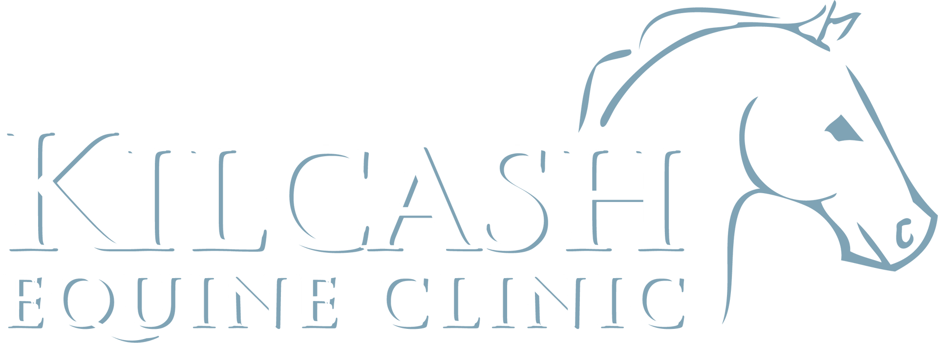 meet-the-team-at-kilcash-equine-clinic