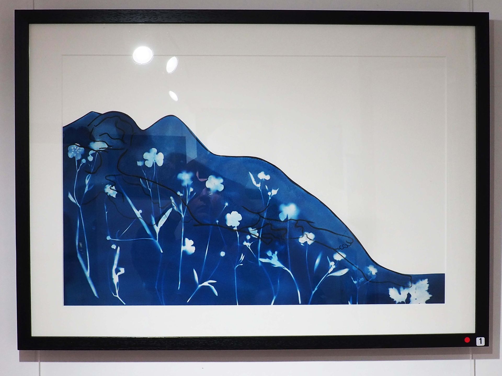 A cyanotype landscape on a white background. Landscape is formed from a simplistic line drawing of a naked woman. There are white masked buttercups in the blue foreground