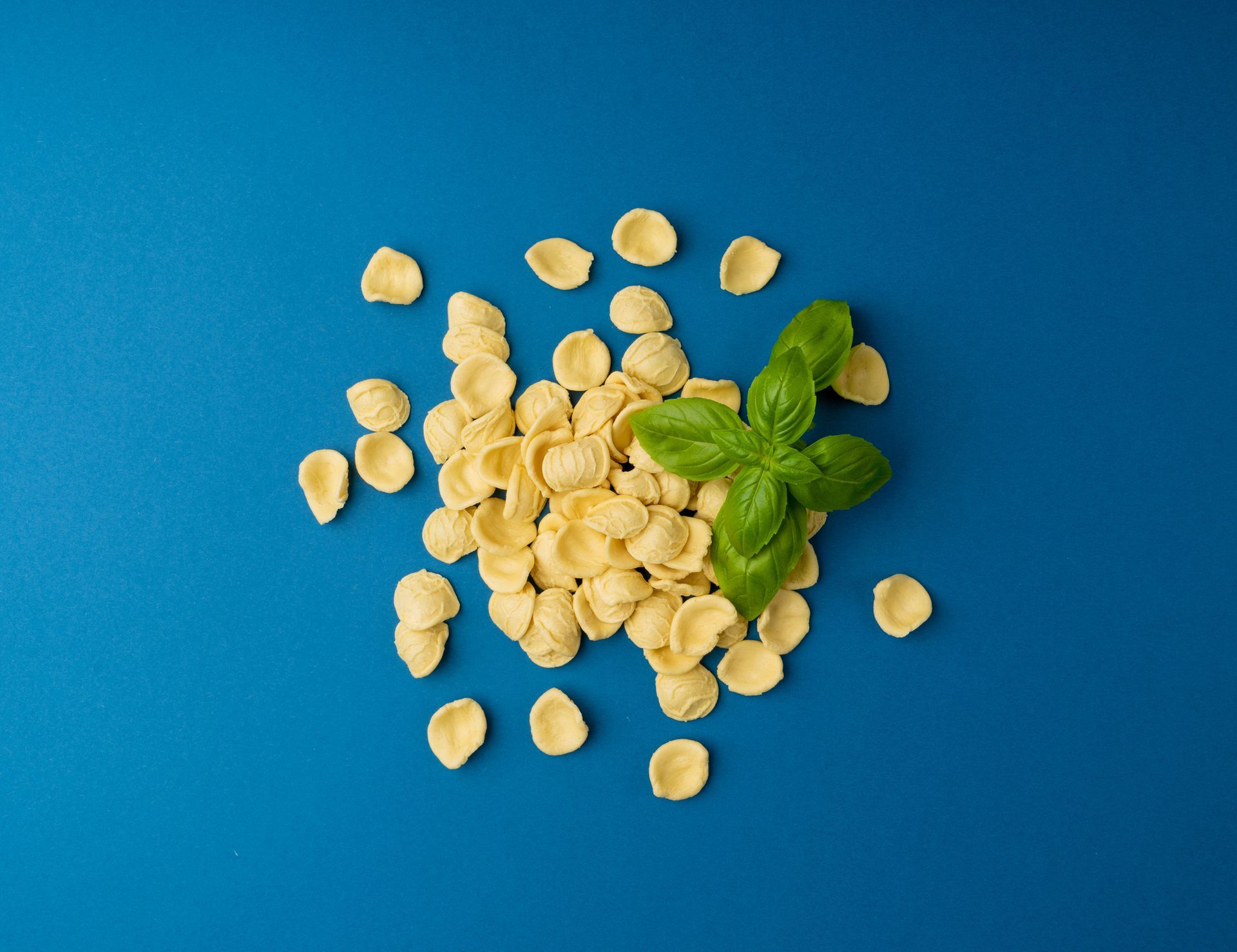 Primo piano di Orecchiette, tipologia di pasta casereccia Valdoro