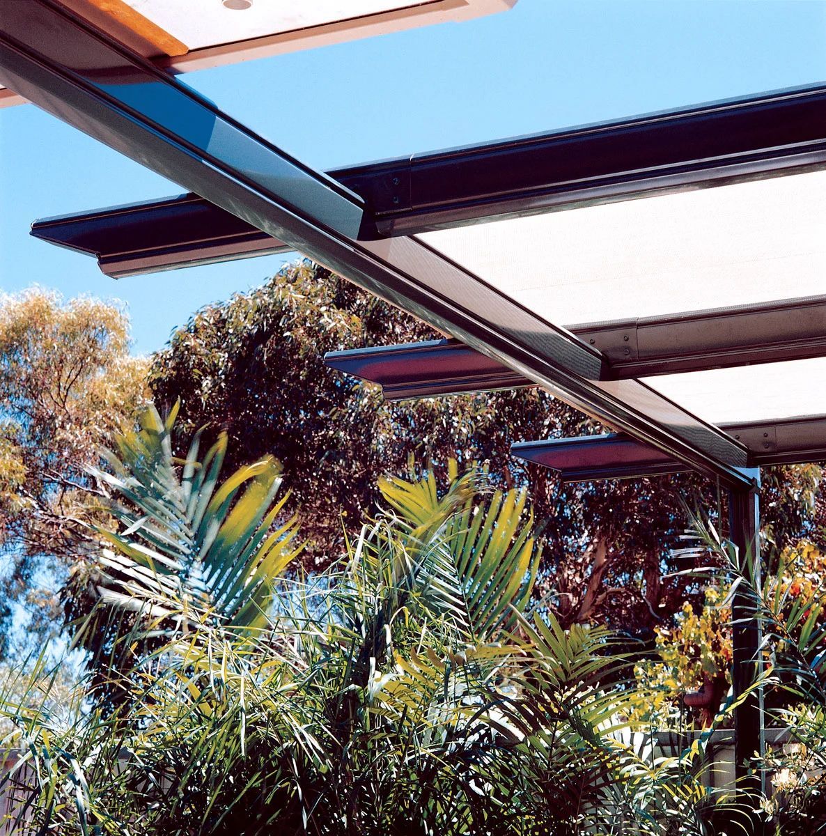 Modern patio roof over lush tropical plants under a bright blue sky