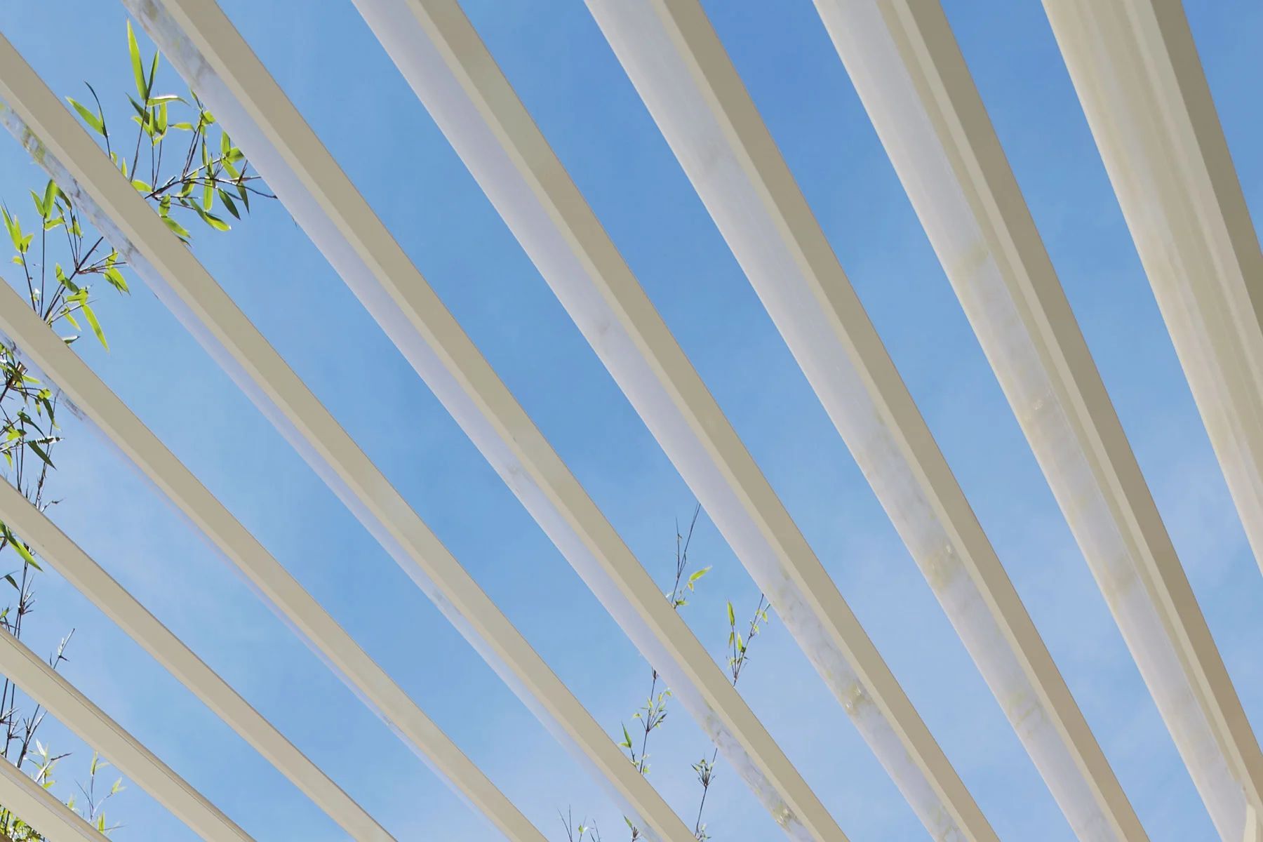 White beams against a blue sky with a few tree branches
