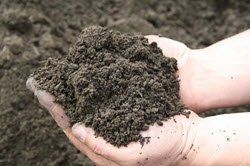 Planting Mix — Concord, NH — Brochu Nursery And Landscaping