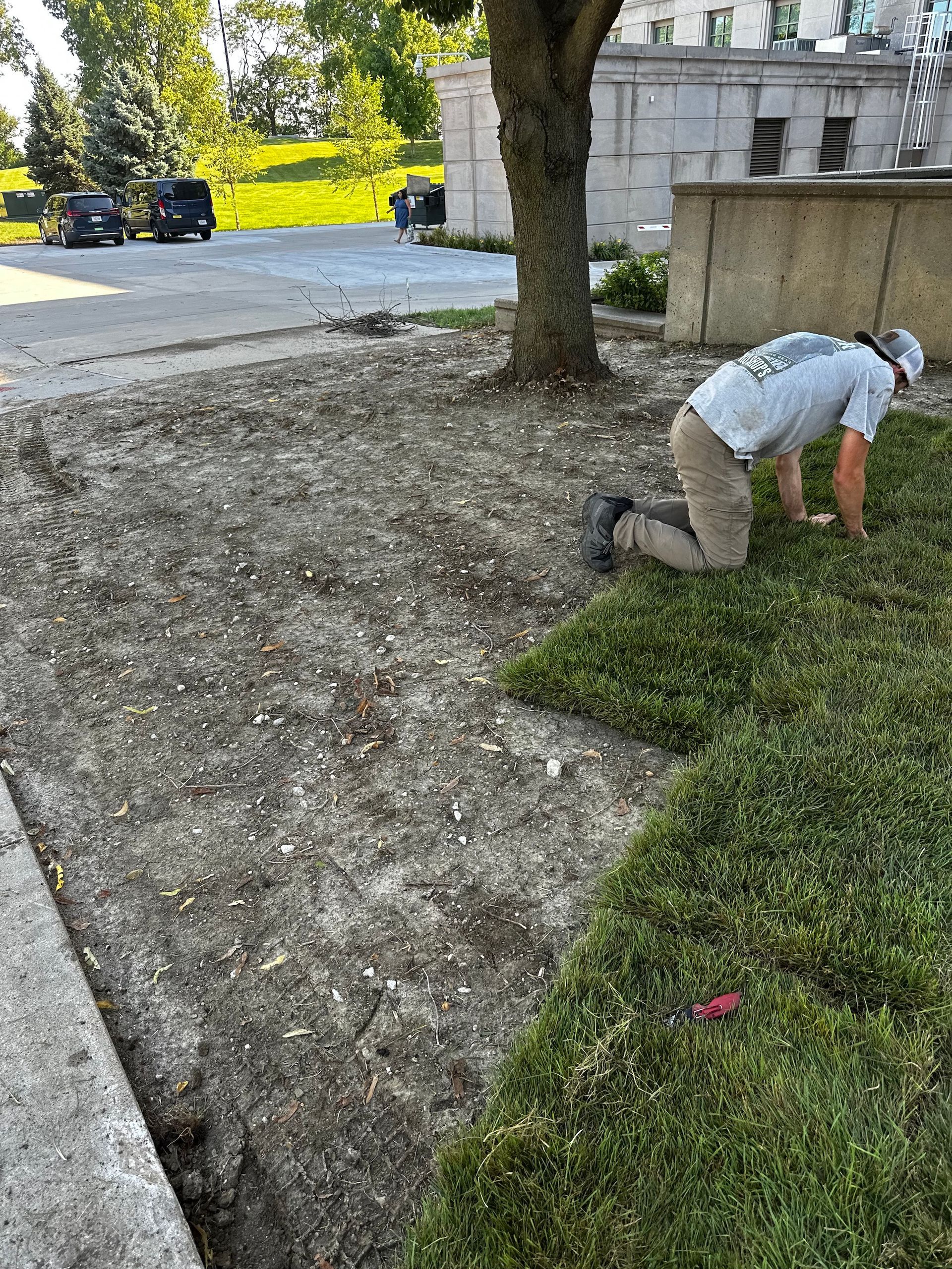 Sod Installation