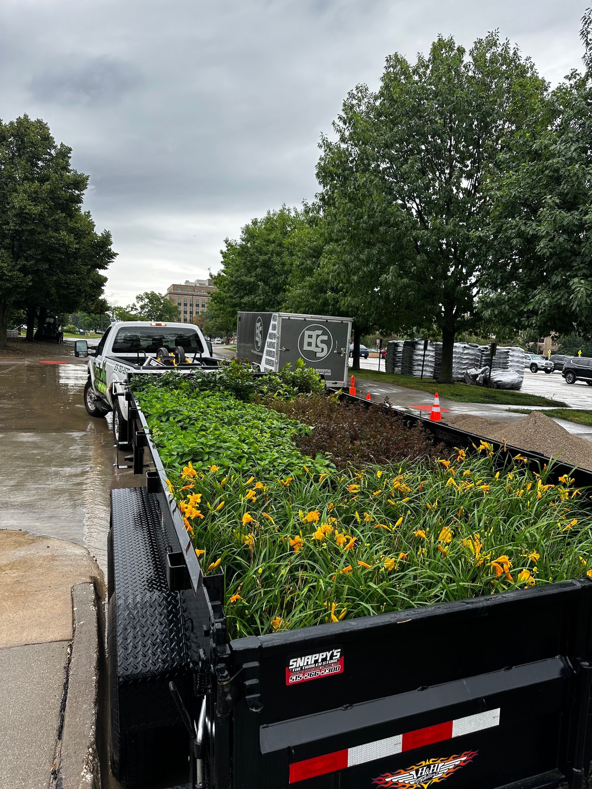 Landscaping