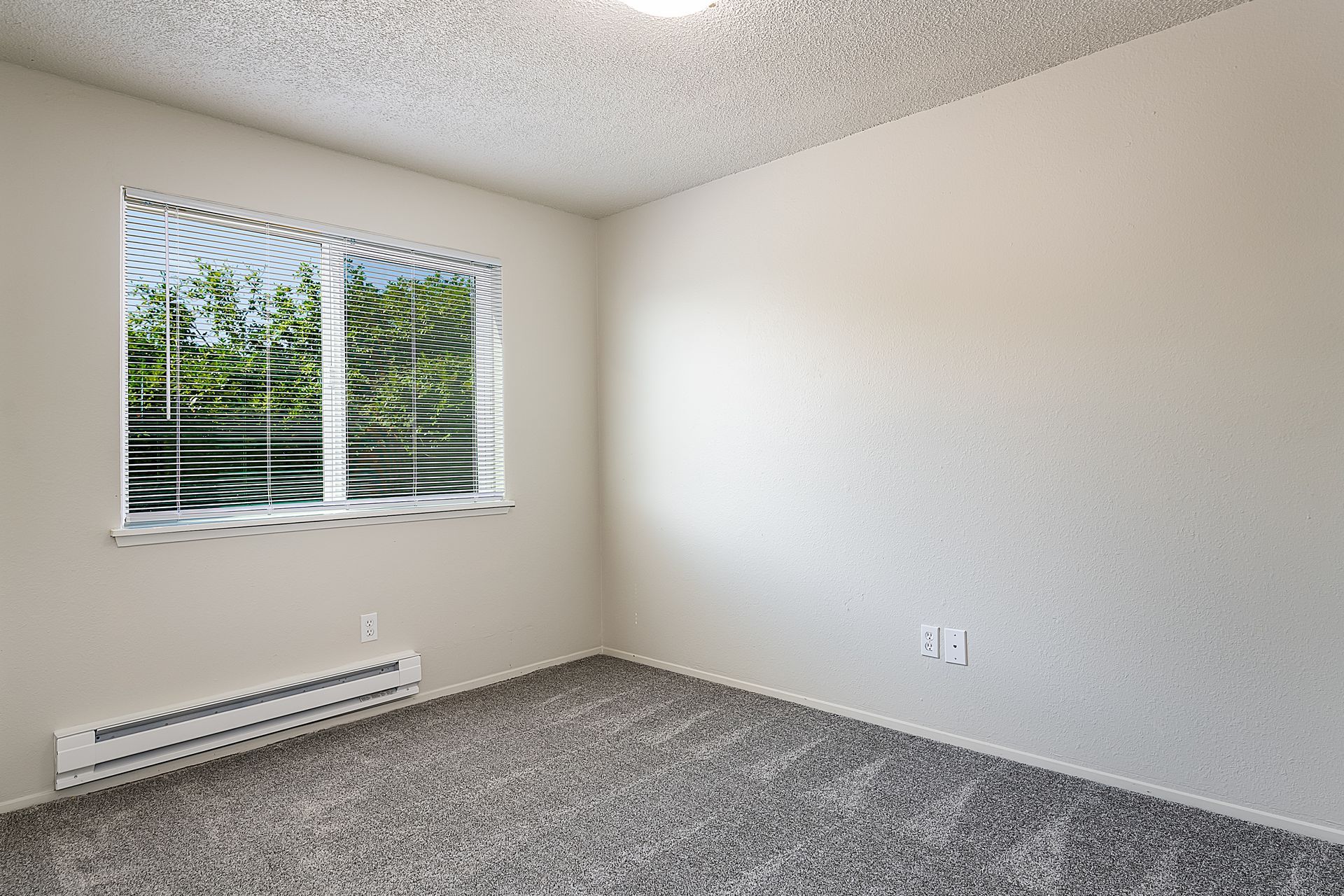Photo showing the view of the living room with a fair amount of natural light