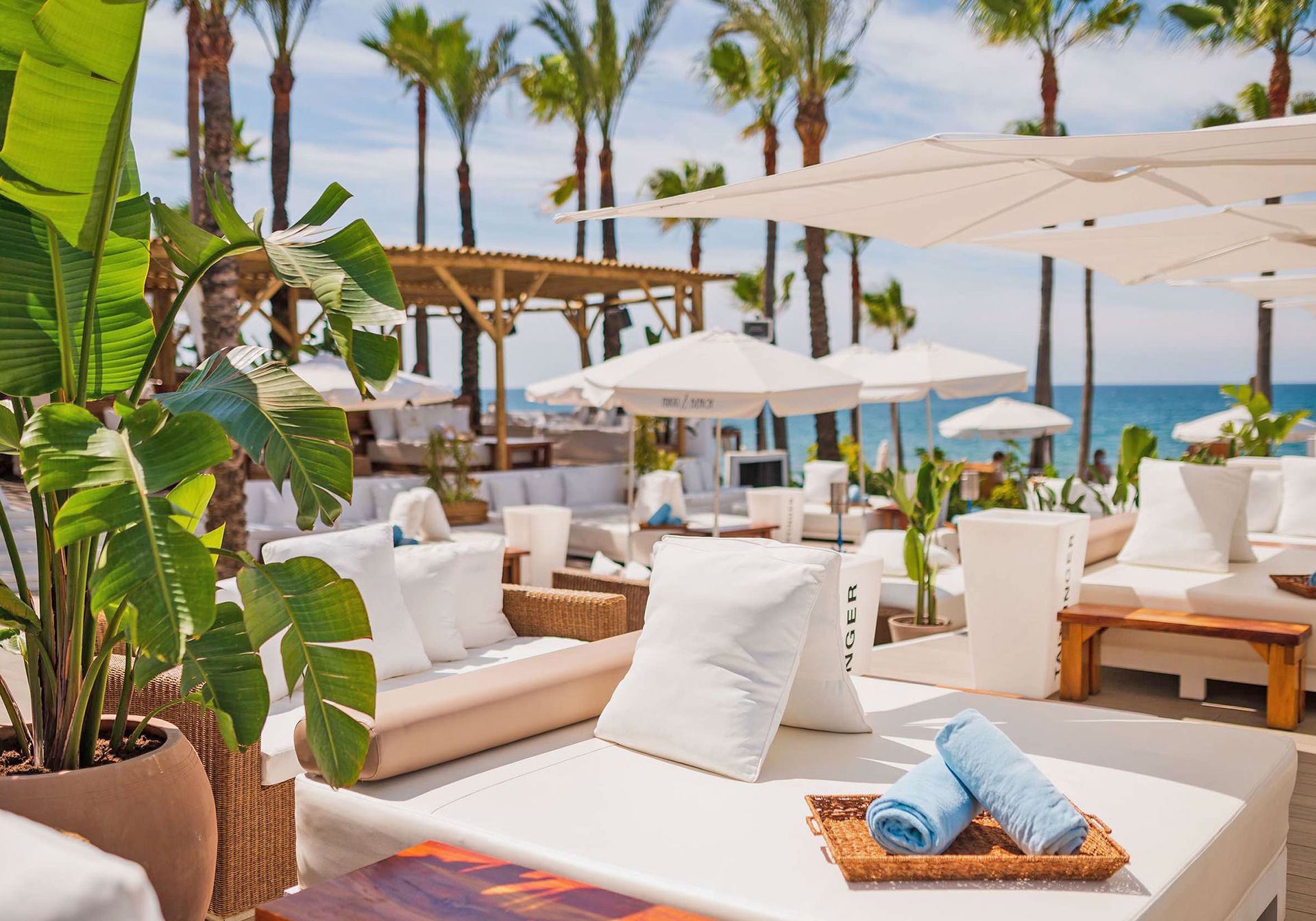 There are many white chairs and umbrellas on the beach.
