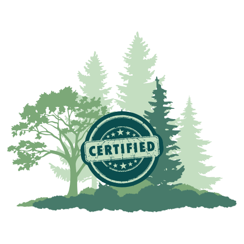 forest certification illustration