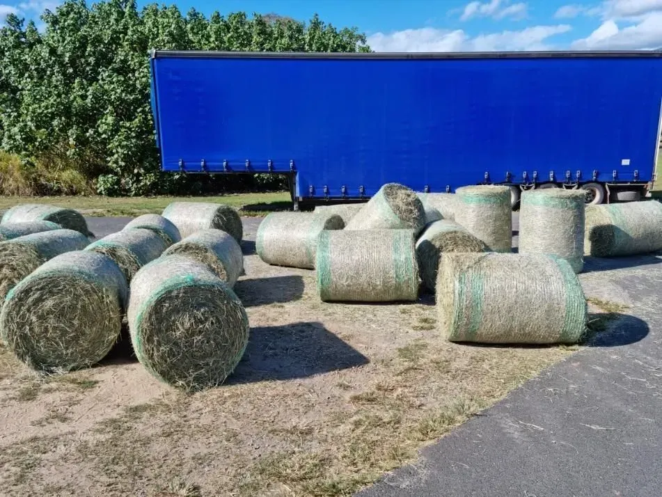Round Hay Bales Scattered on Pavement Near a Blue Truck — NQ Stockfeeds & Farm Supplies In Mossman, QLD