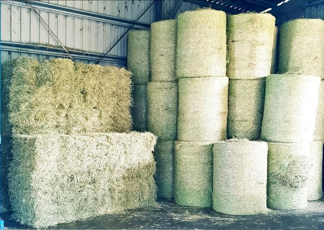 Hay Bales Stacked in a Barn — NQ Stockfeeds & Farm Supplies In Yorkeys Knob, QLD