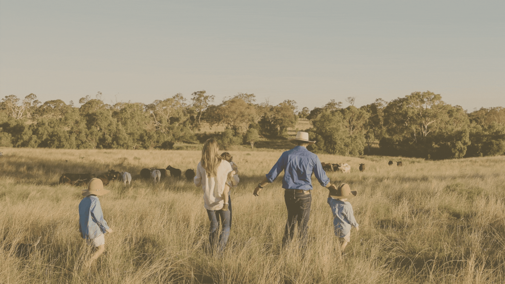 People walking through a grassy field with cattle in the distance under a clear sky