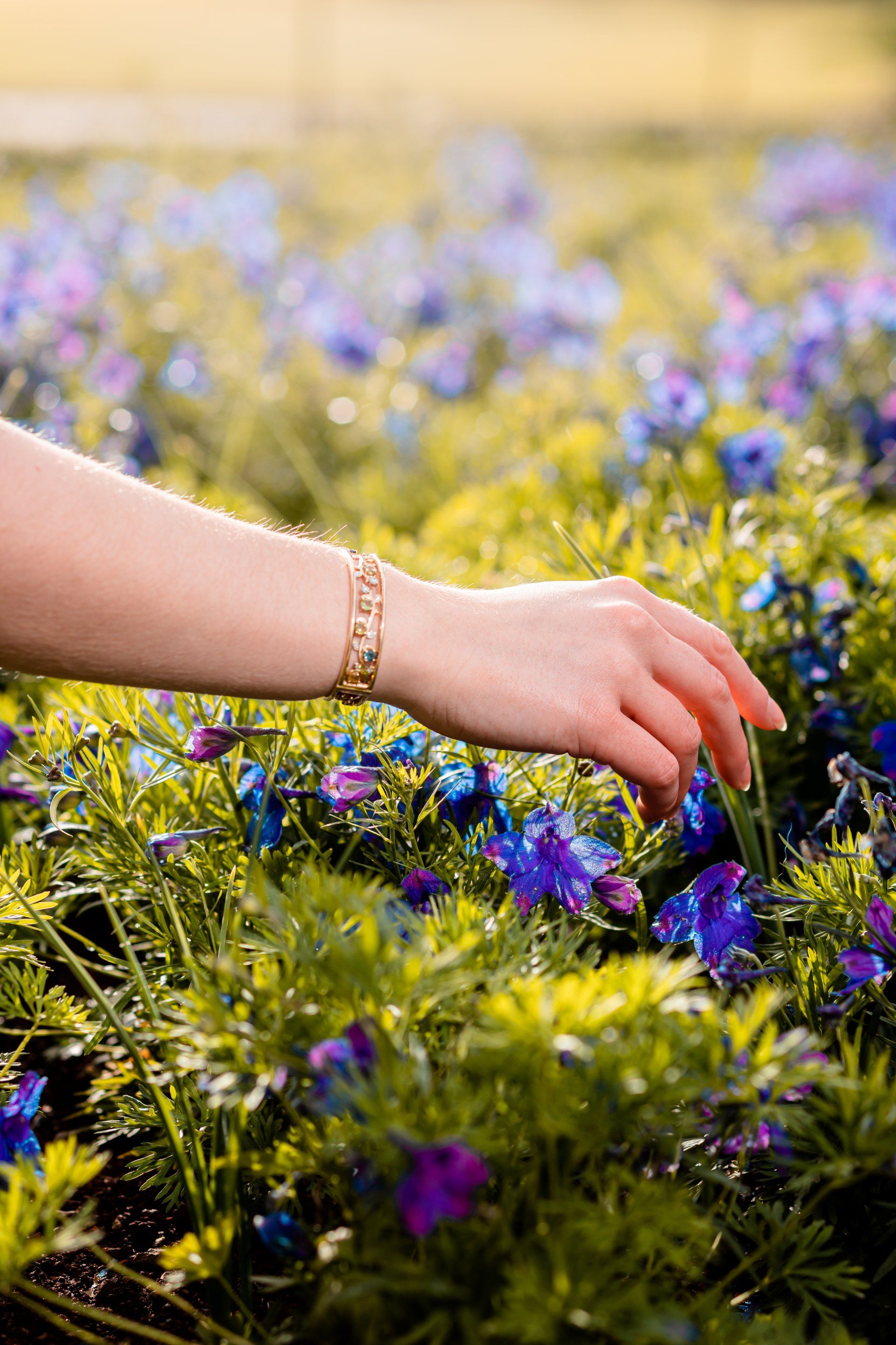 Hand with gold bracelet gently touching purple wildflowers in a sunlit field