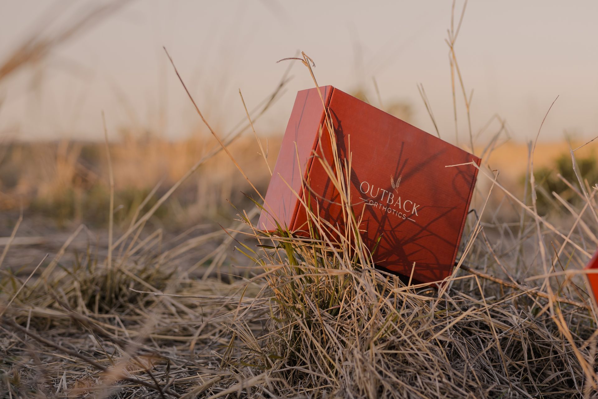 Red book lying in dry grass at sunset