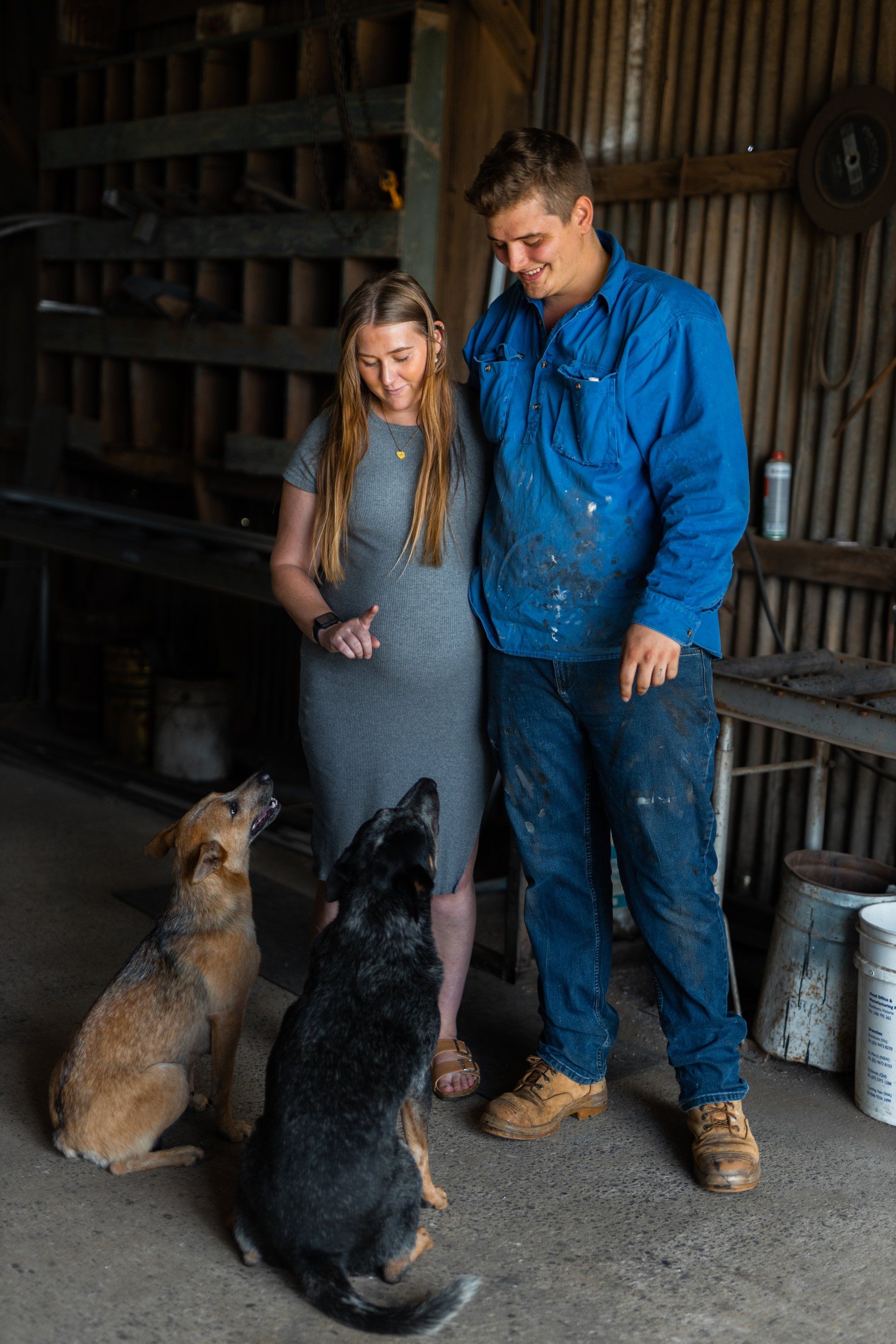 Man and girl in blue clothes feeding two dogs in a barn doorway